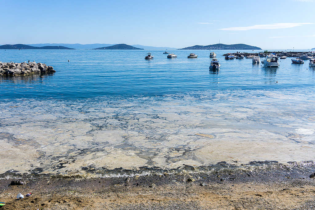 musilaj-geri-donuyor-degisik-adam